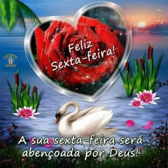 @José carlos