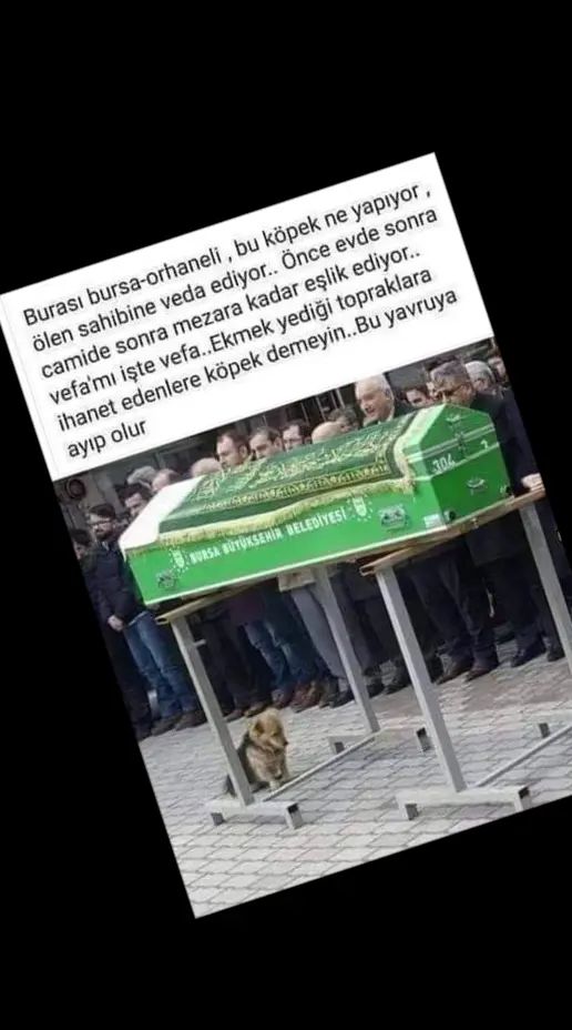 @🔥💥 BURSA MAFYASI 💥🔥