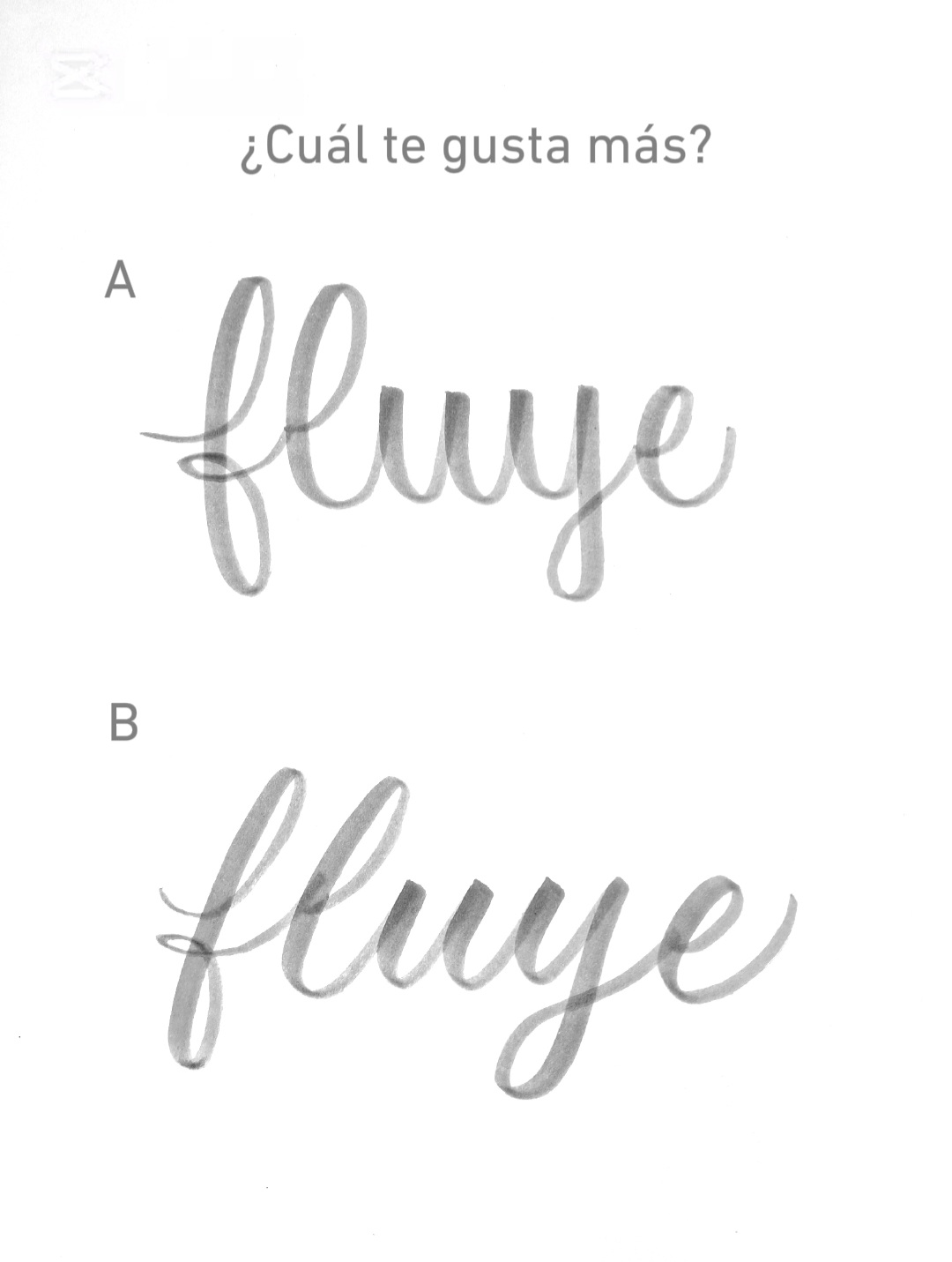 @Xini Lettering