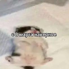 @Не наш слоняра 2
