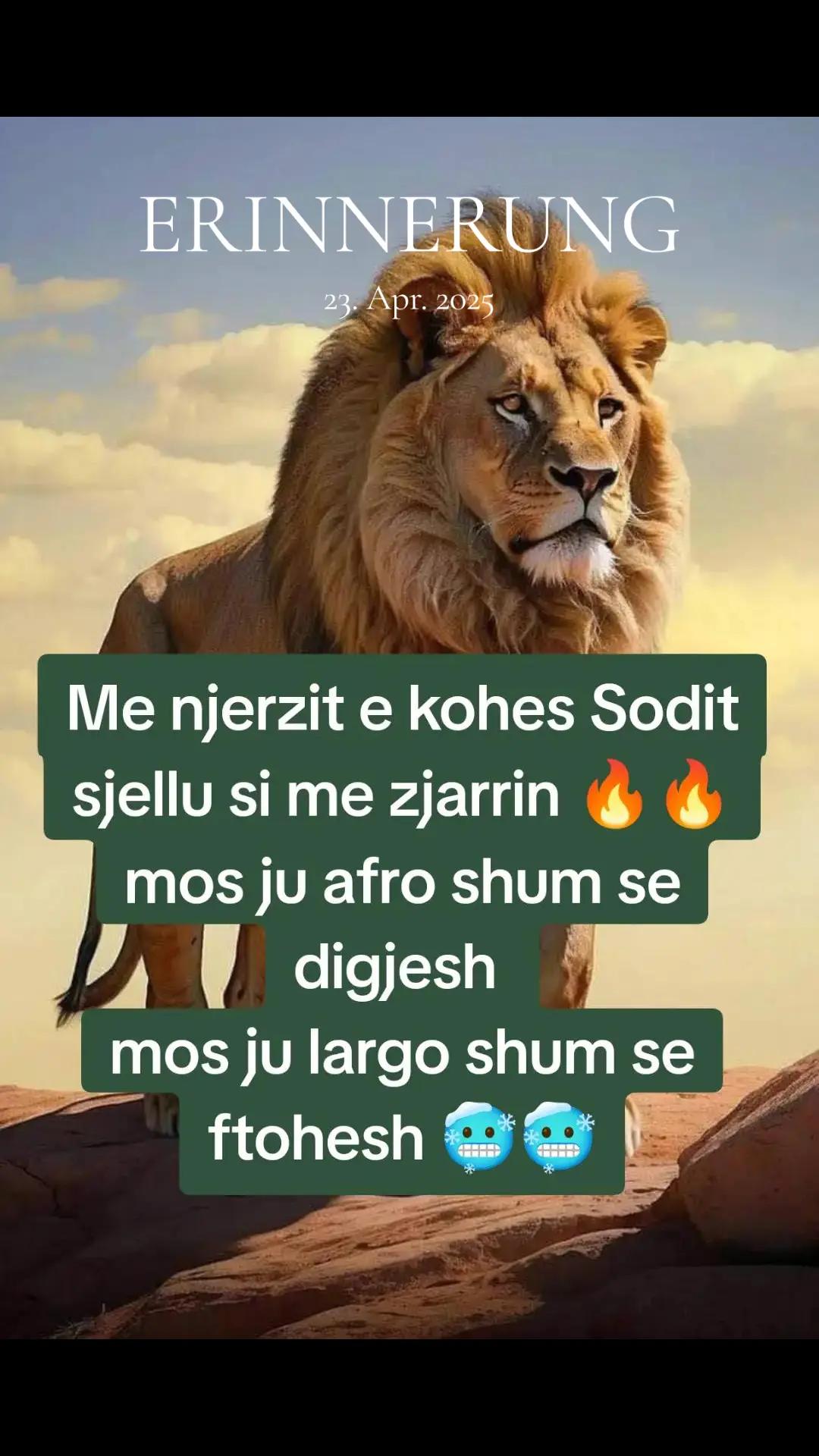 @💎🦅Hysni.Z🦅💎