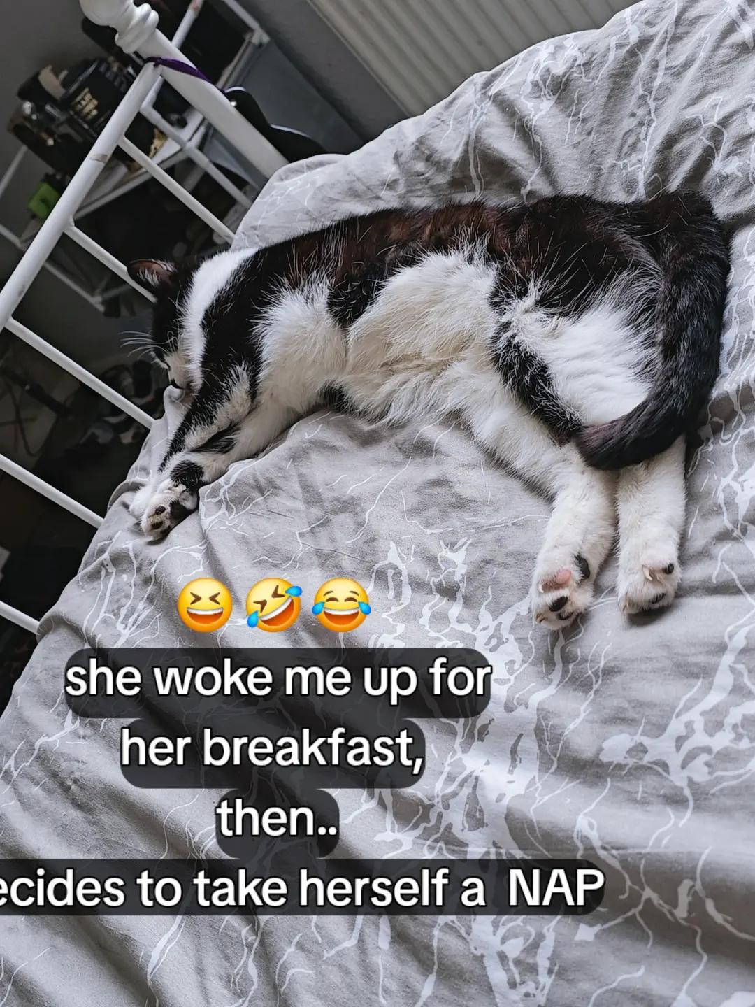 @Andy1105 😎Awakened14421