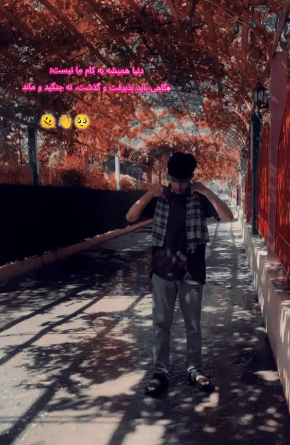 @𝐒𝐇𝐀𝐁𝐄𝐄𝐑 4𝐊