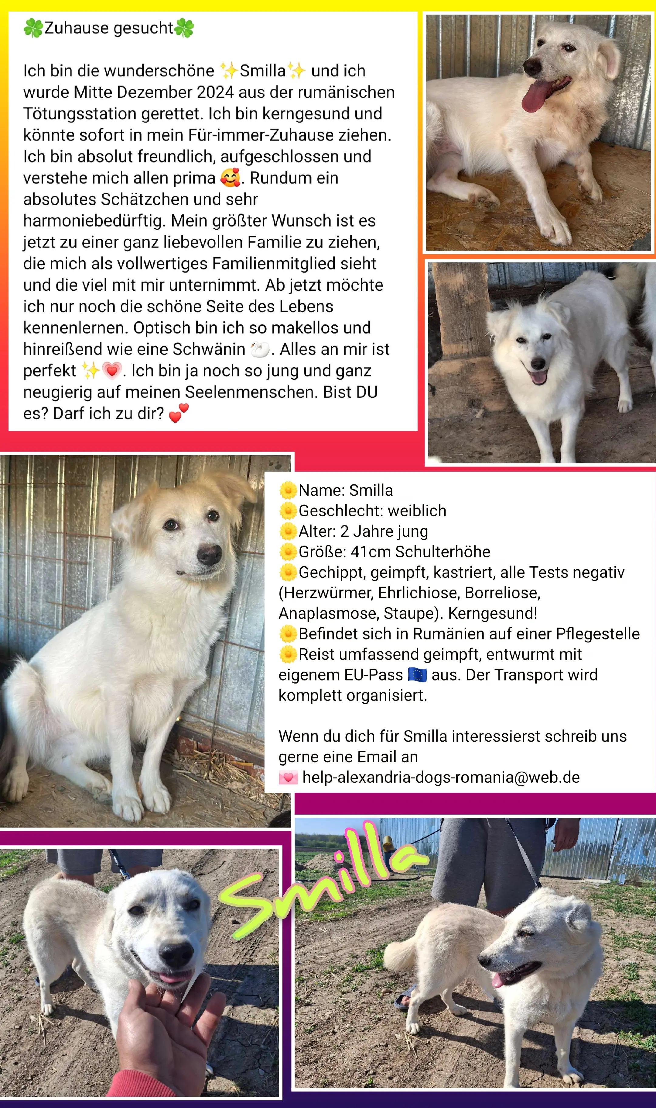 @rescuersalexandria