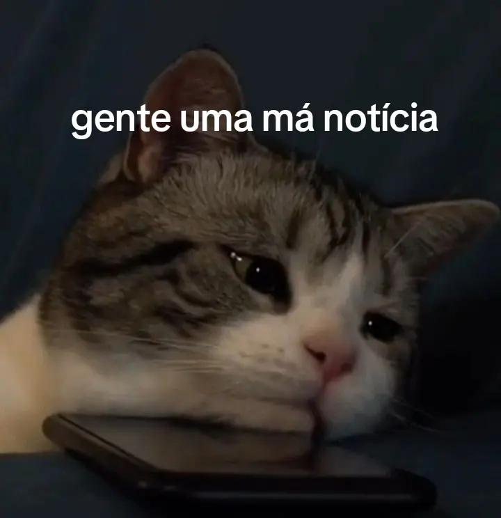 @>femboy<
