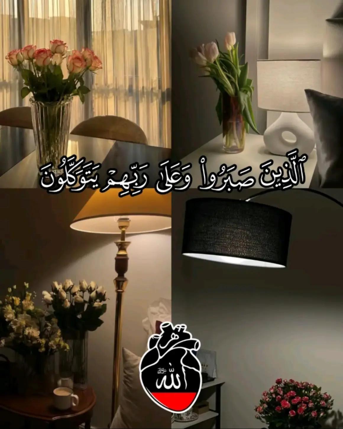 @M Naveed 🫀🌺