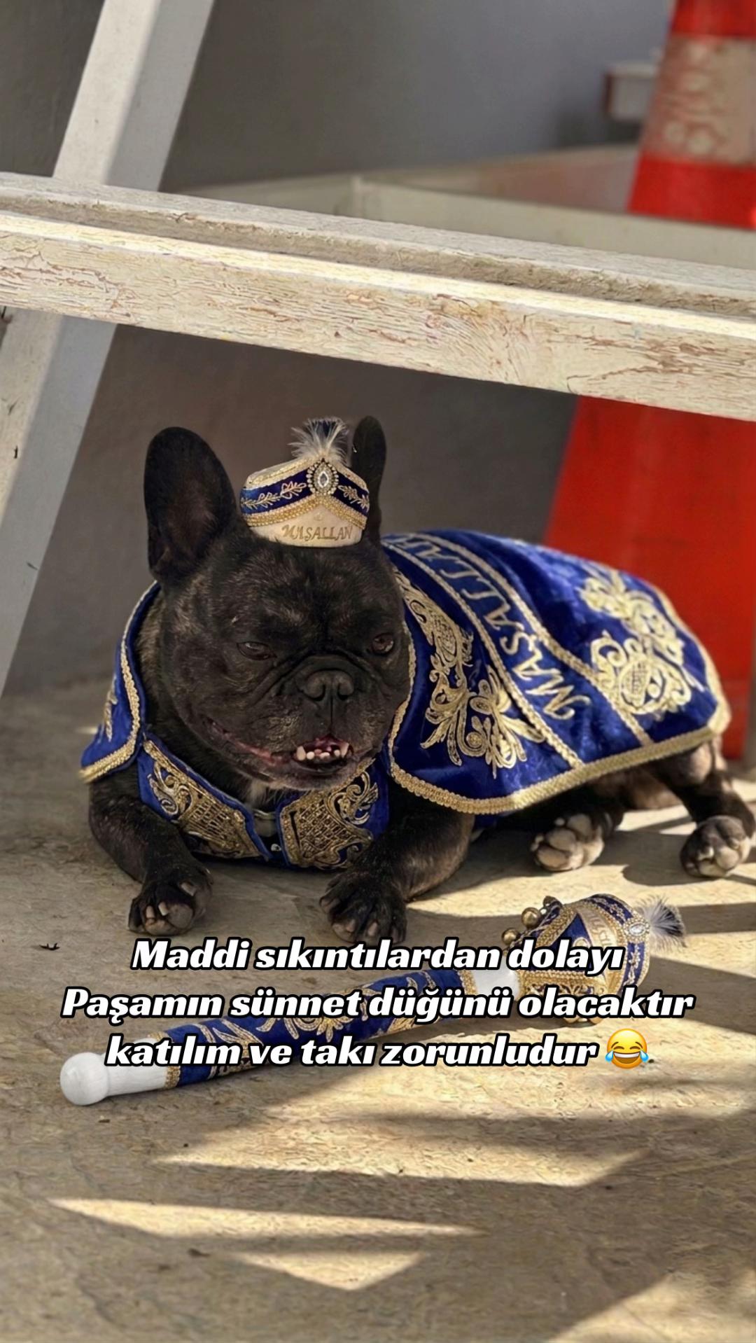 @Ali Can Çalışkan
