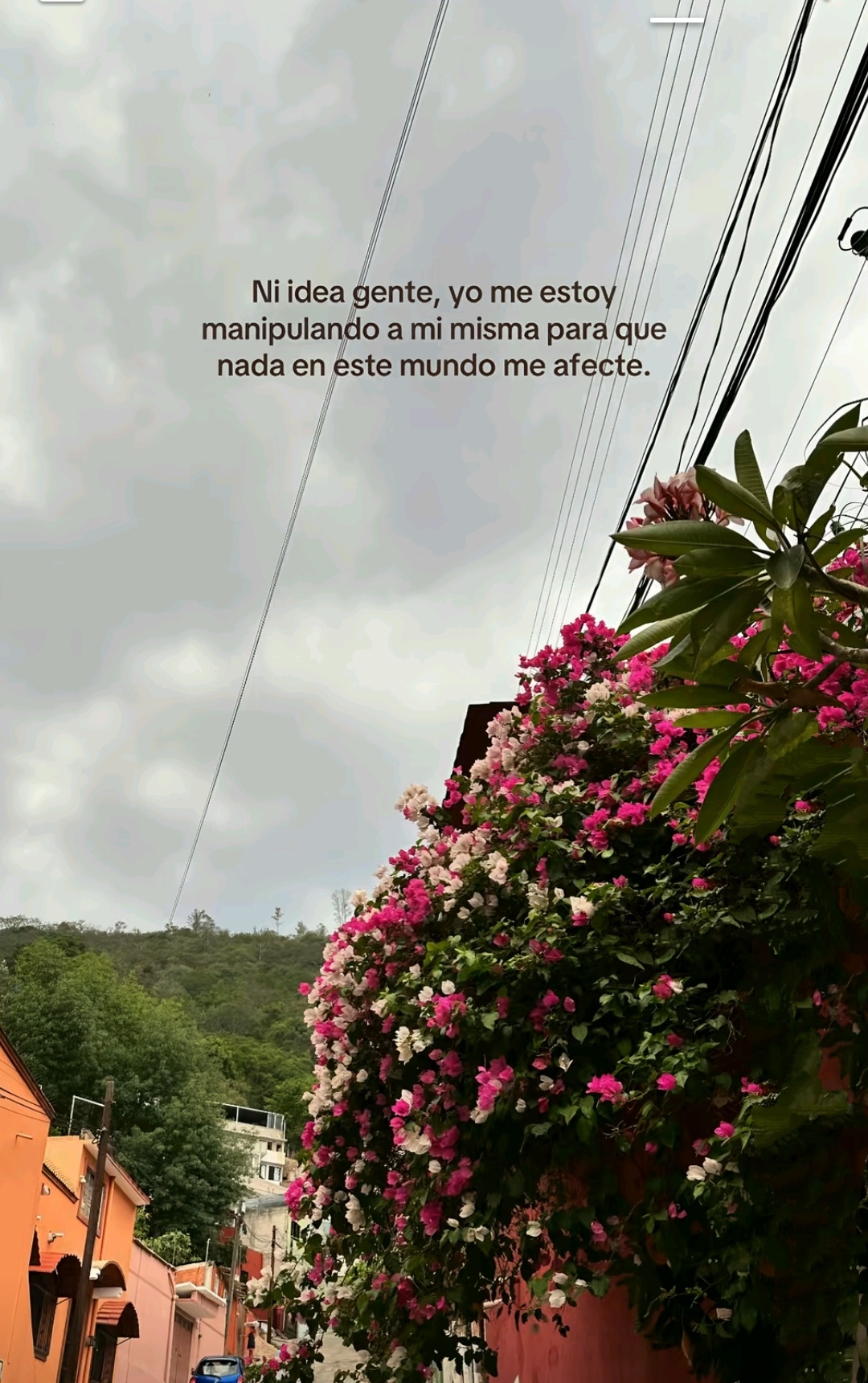 @Edith Martínez