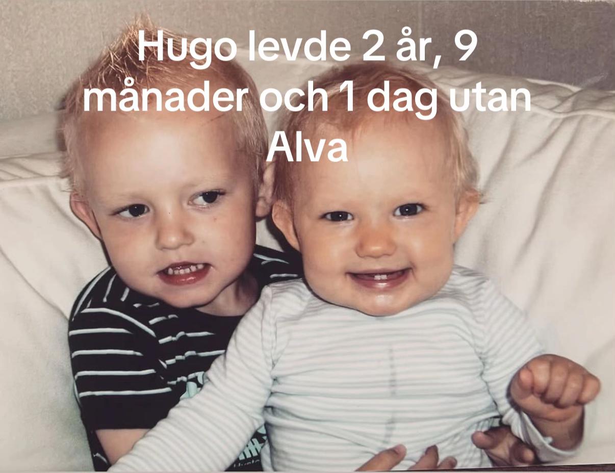 @ALVA PIHL