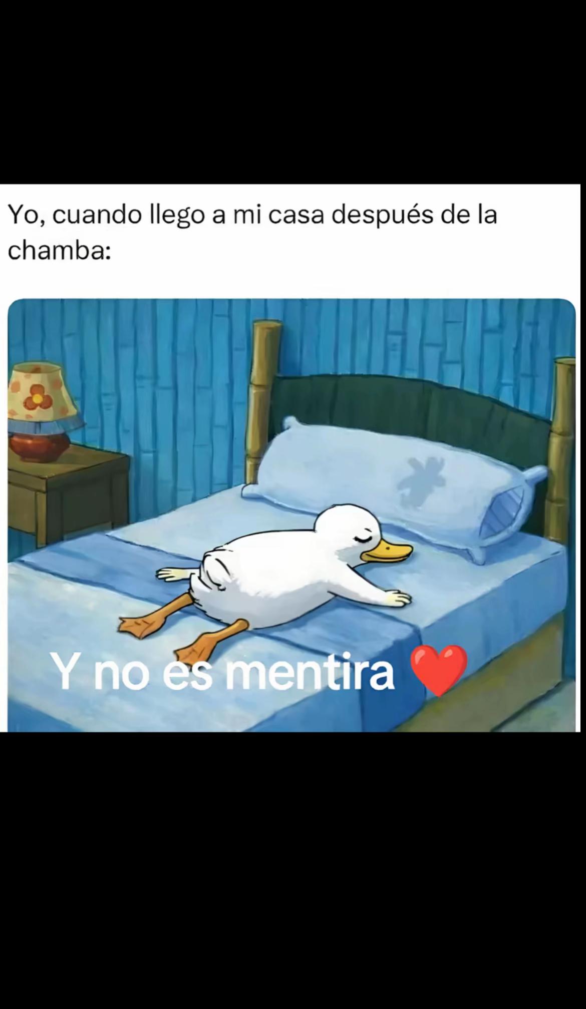 @griseldagreys