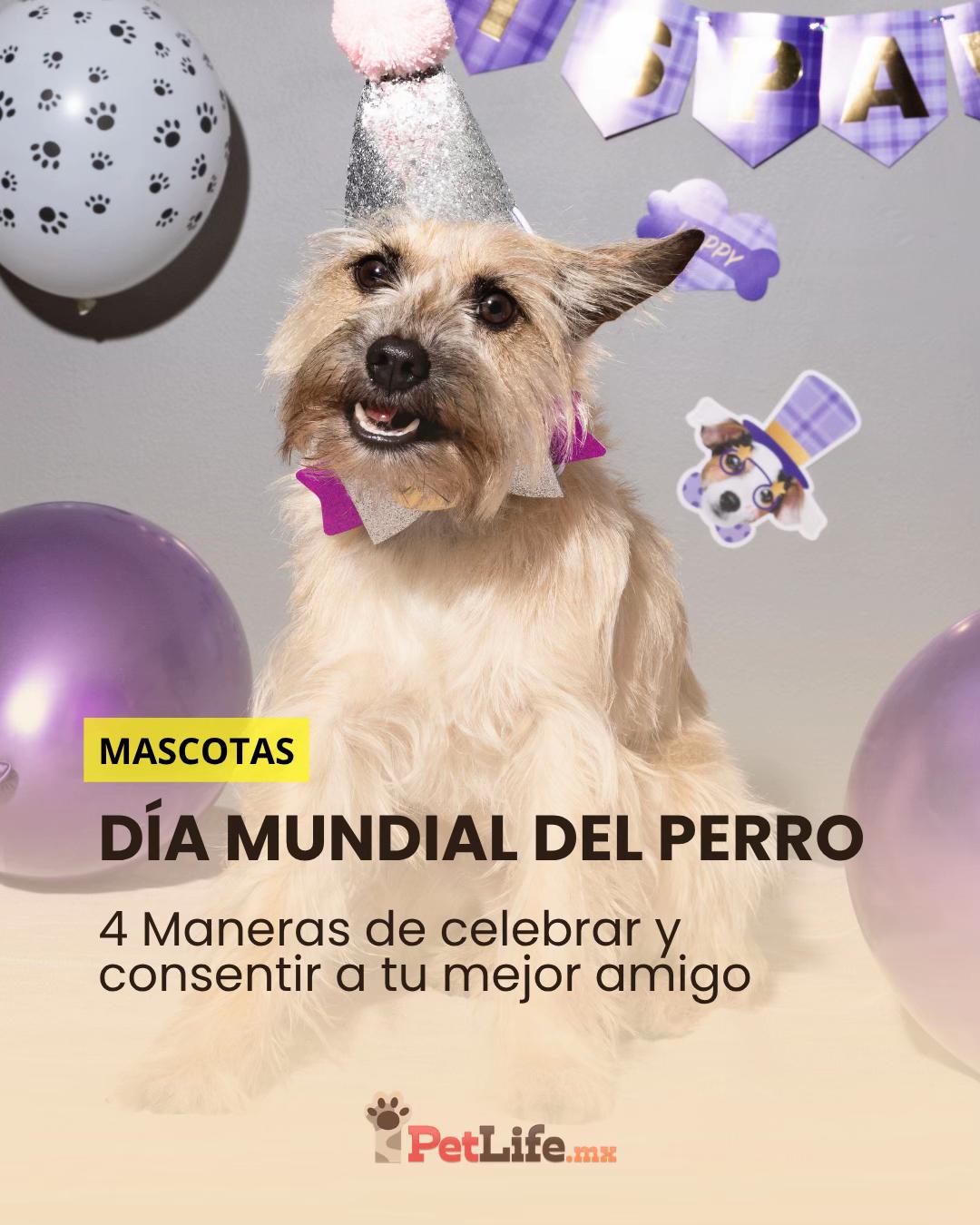 @Petlife