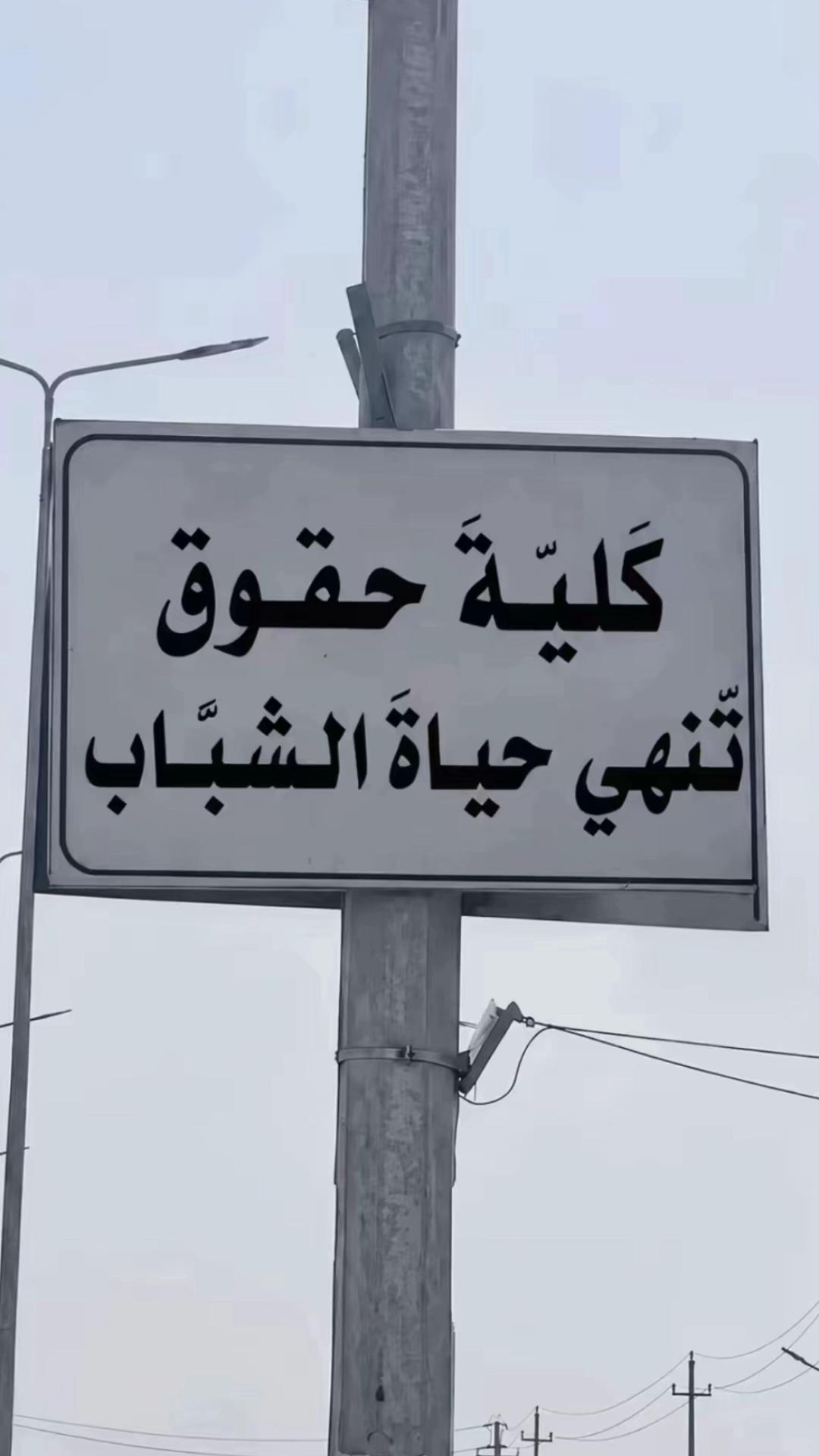 @Habiba Nasser