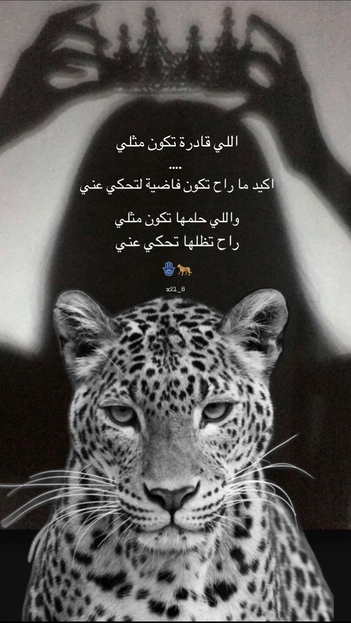 @ملكة الظل 👑