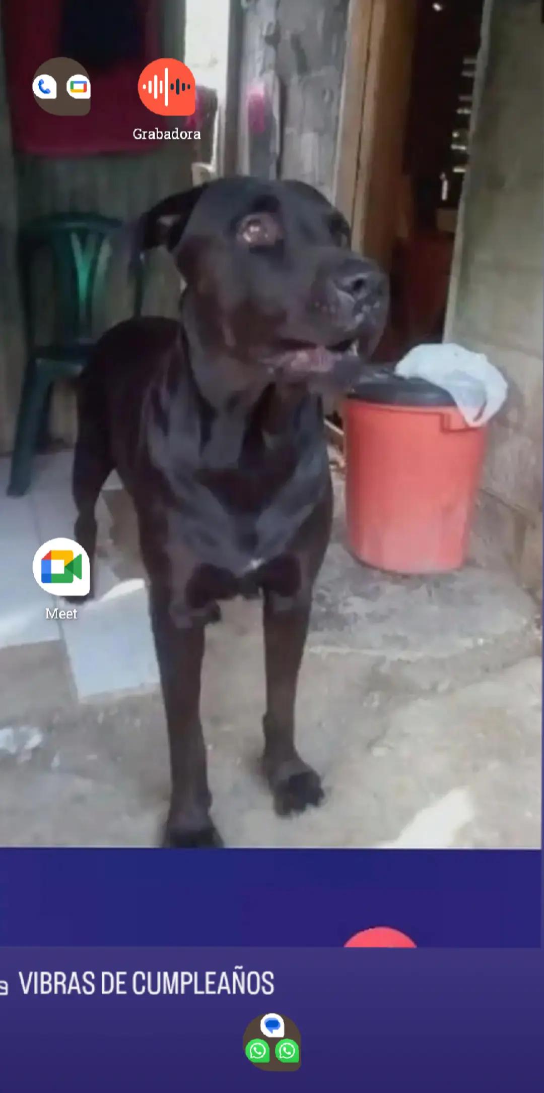 @Jhon greys Hern&aacute;ndez hernandez