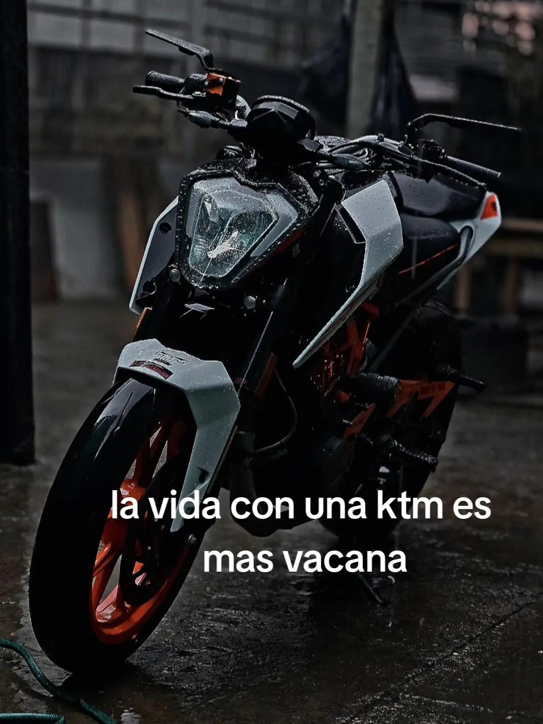 @🚀EL CHICHO🚀