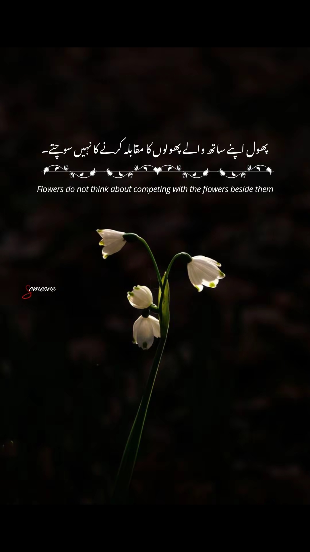 @Waleed Arshad
