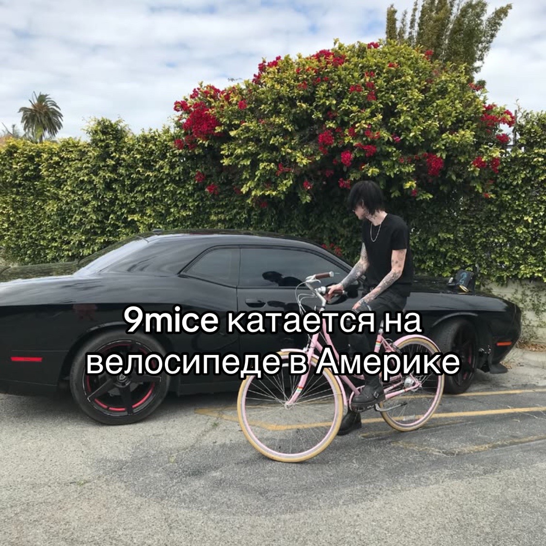@uli