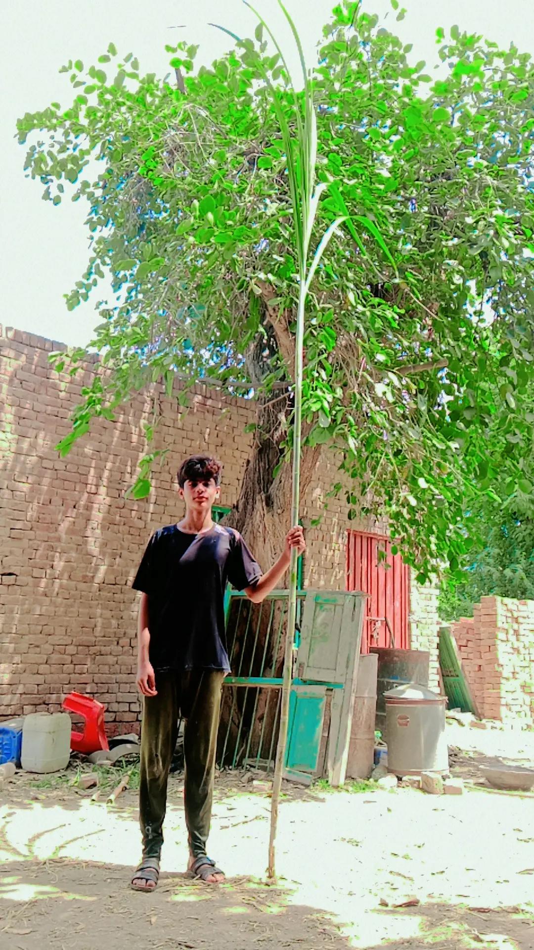 @kamran Javed💫-1