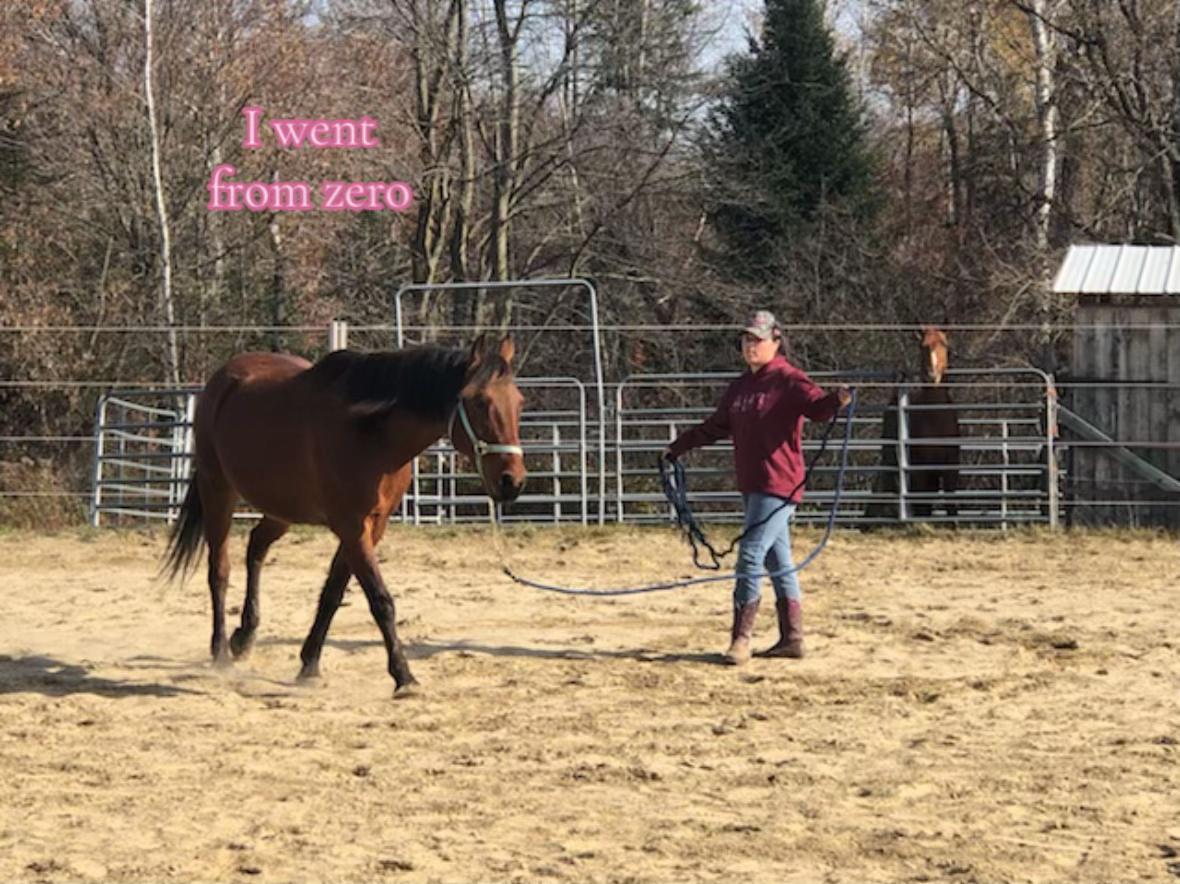 @🐴✨| M&M ranch |🐴✨