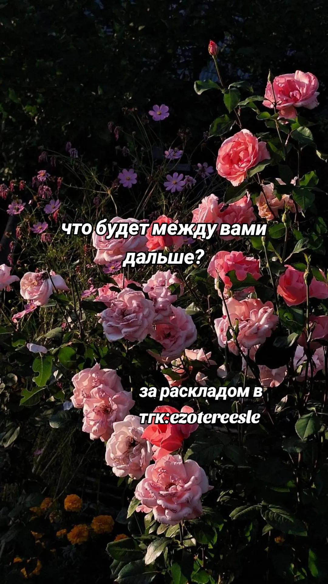 @𒉭