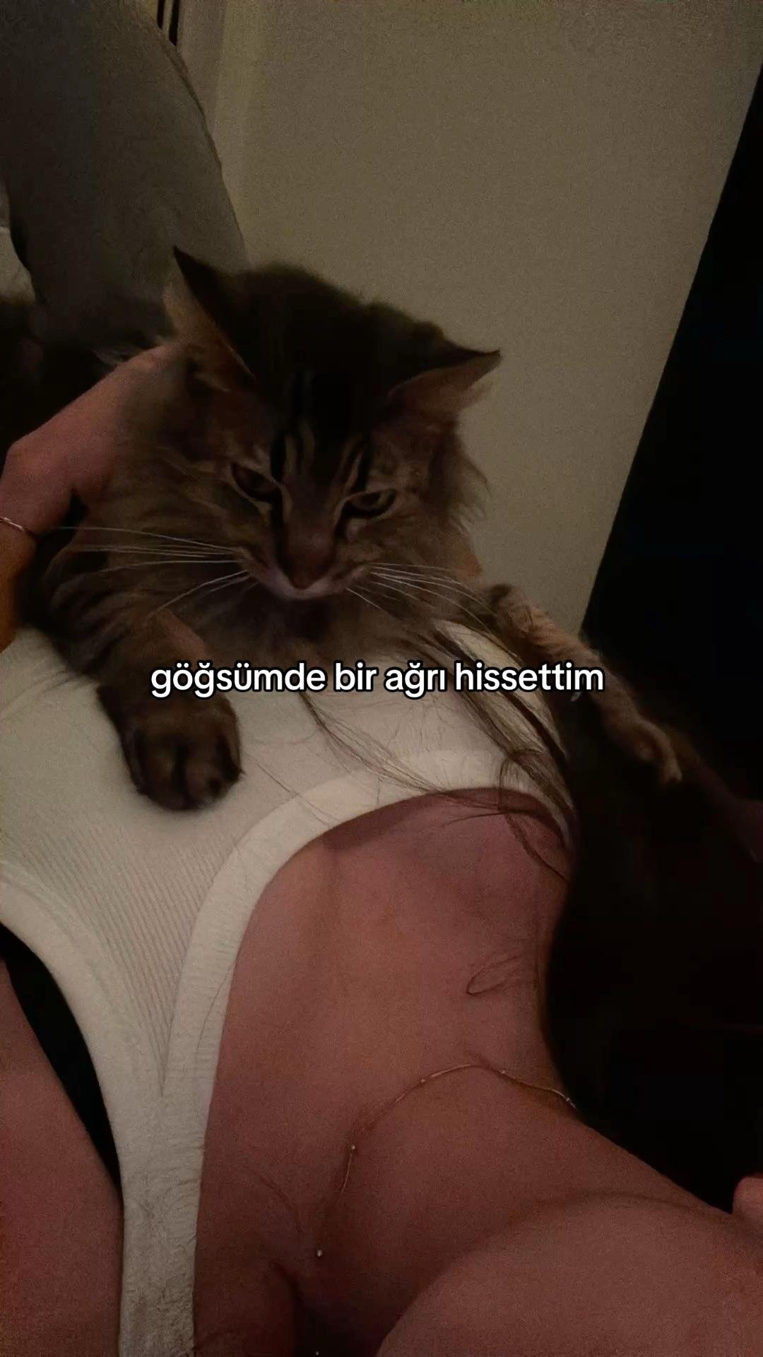 @sarelerce