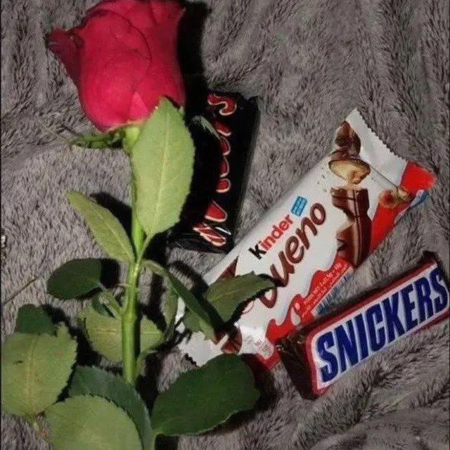 @❤️🍫🐈🐈🐈🐈