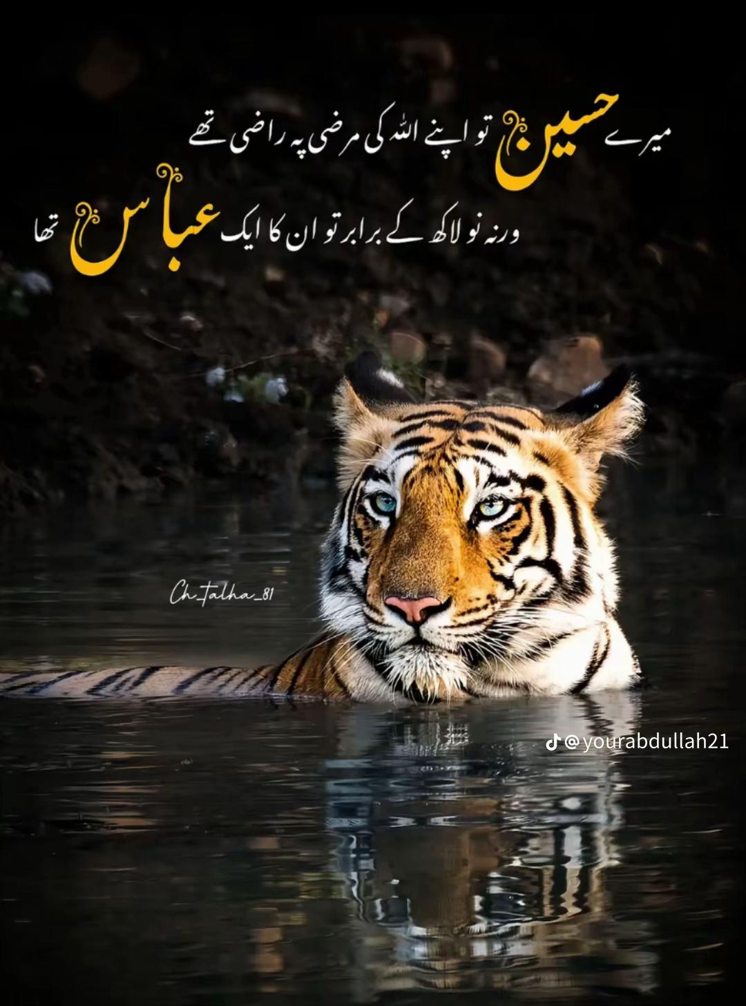 @Team singer Gulaab