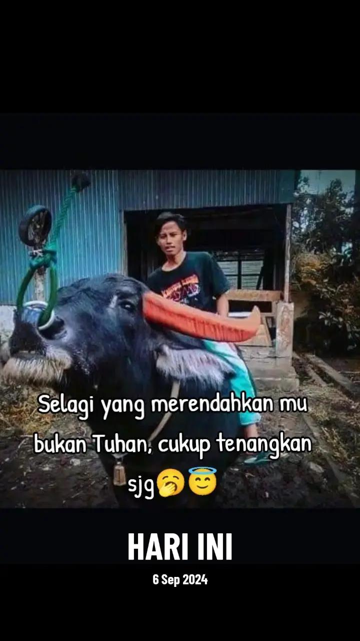 @Fatamorgana ๐
