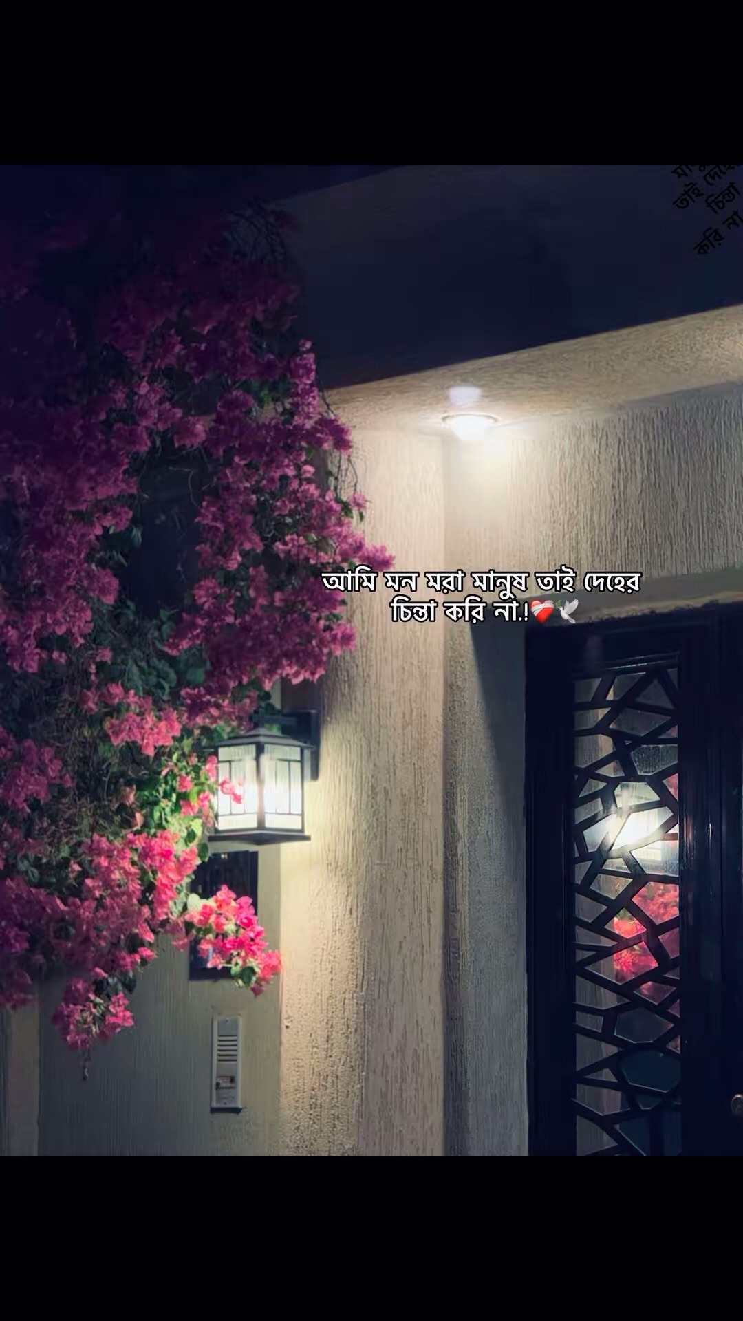 @𝐓𝐚𝐫𝐞𝐪.JANNAT