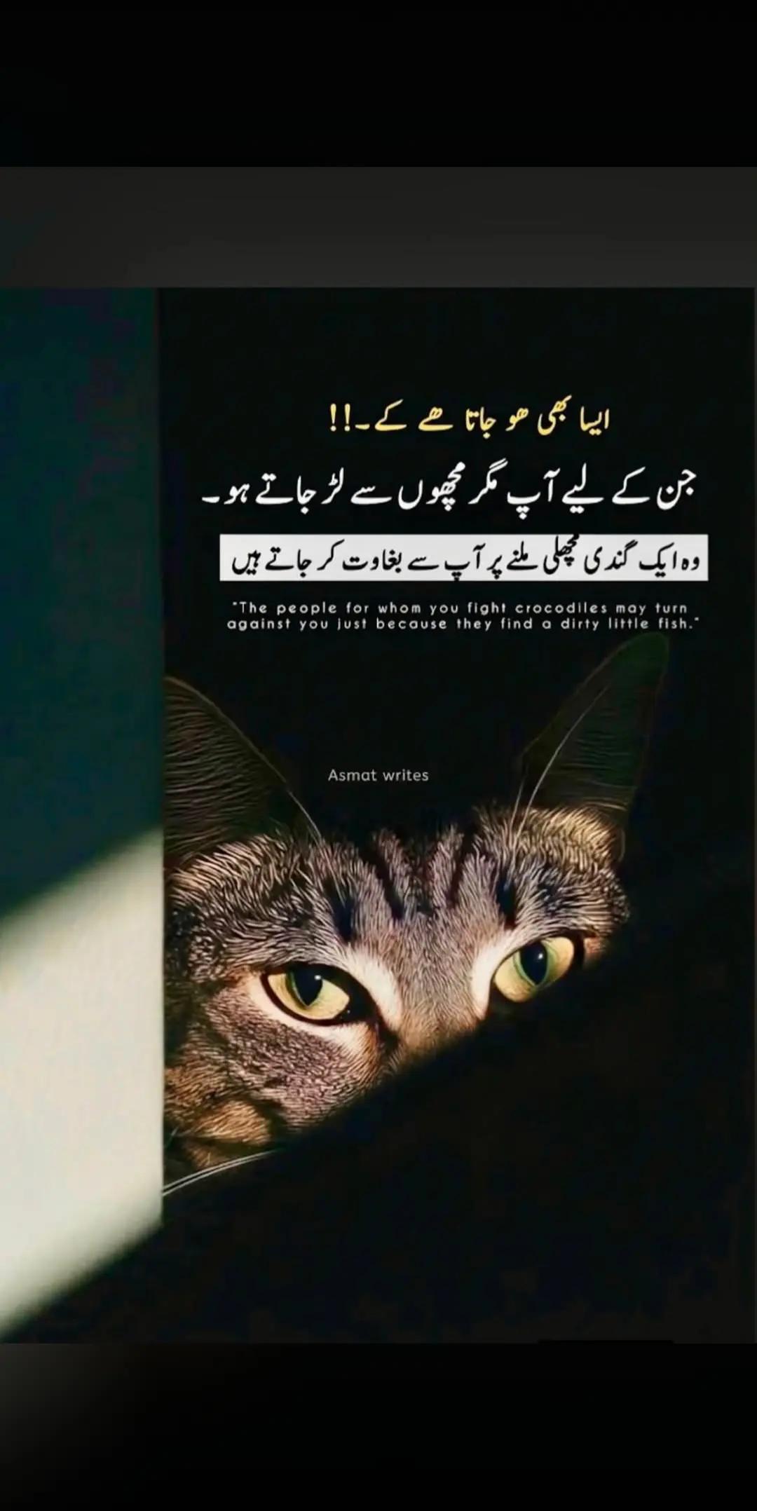 @Mudasar
