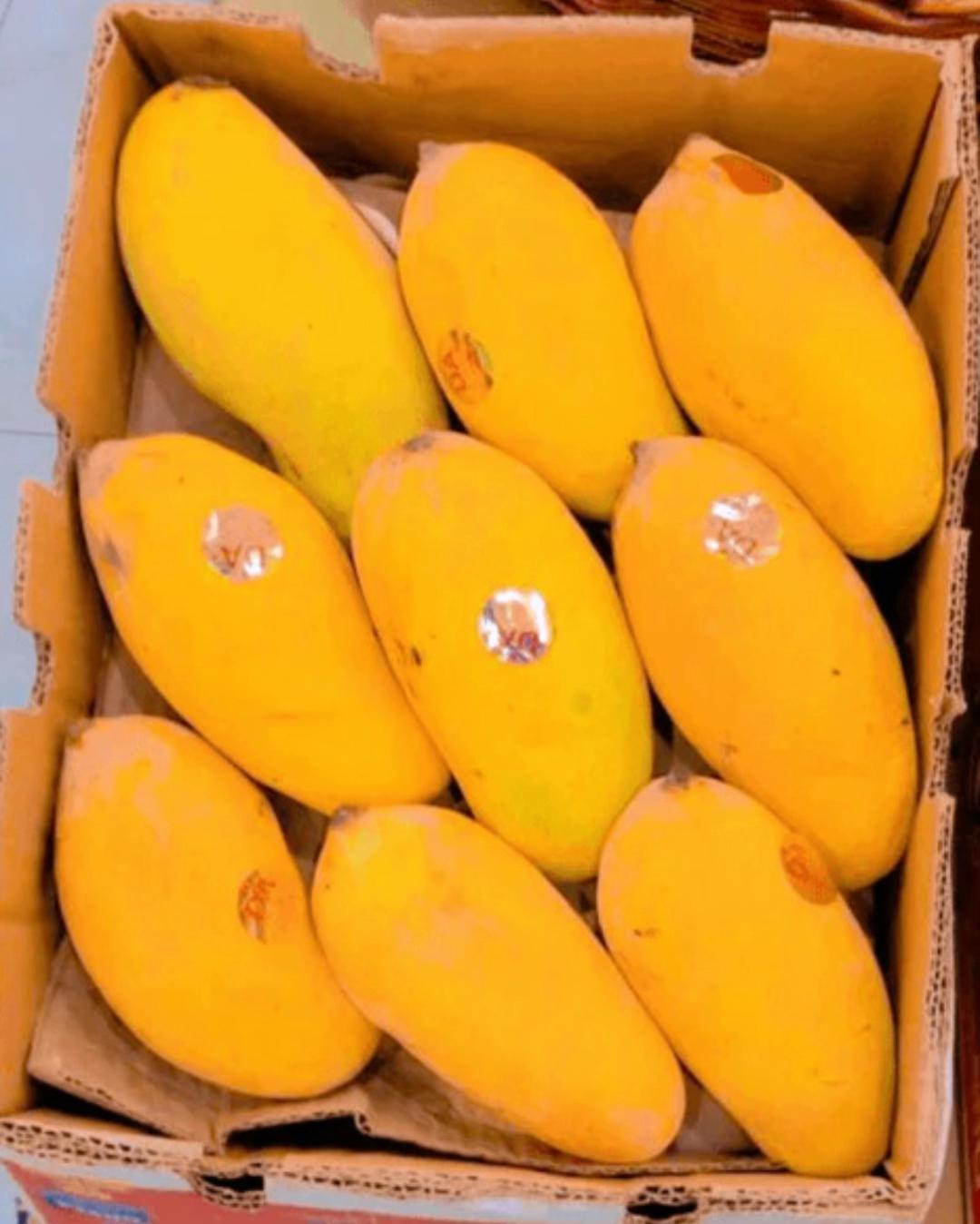 @๊ง๐๐Nisha pomi 97๐๐๊ง