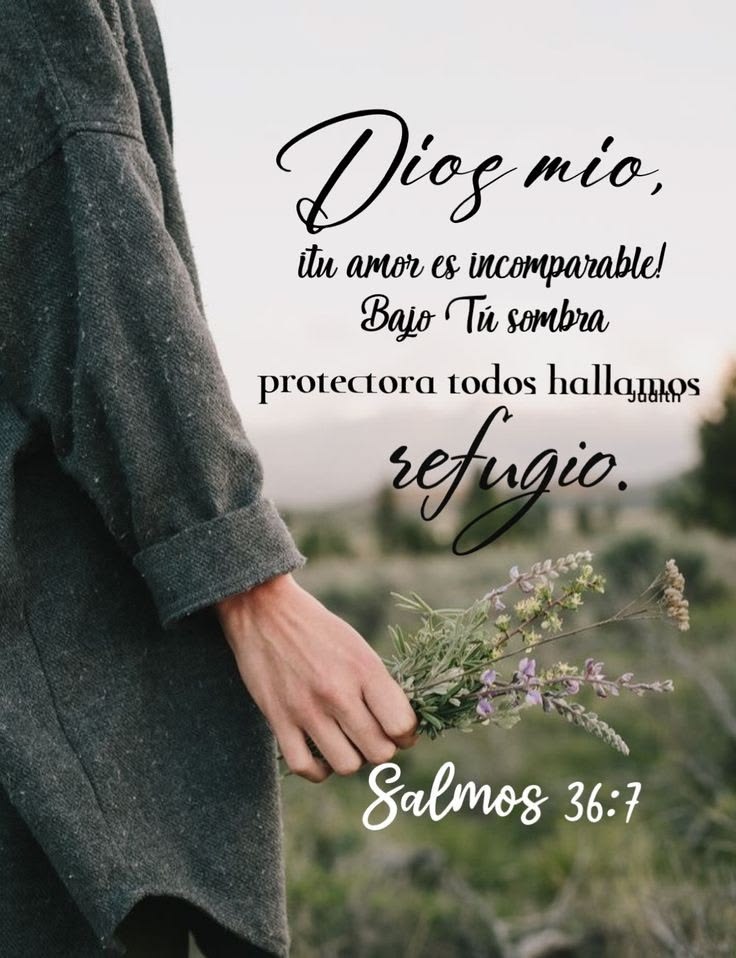 @Ingrid Moreno