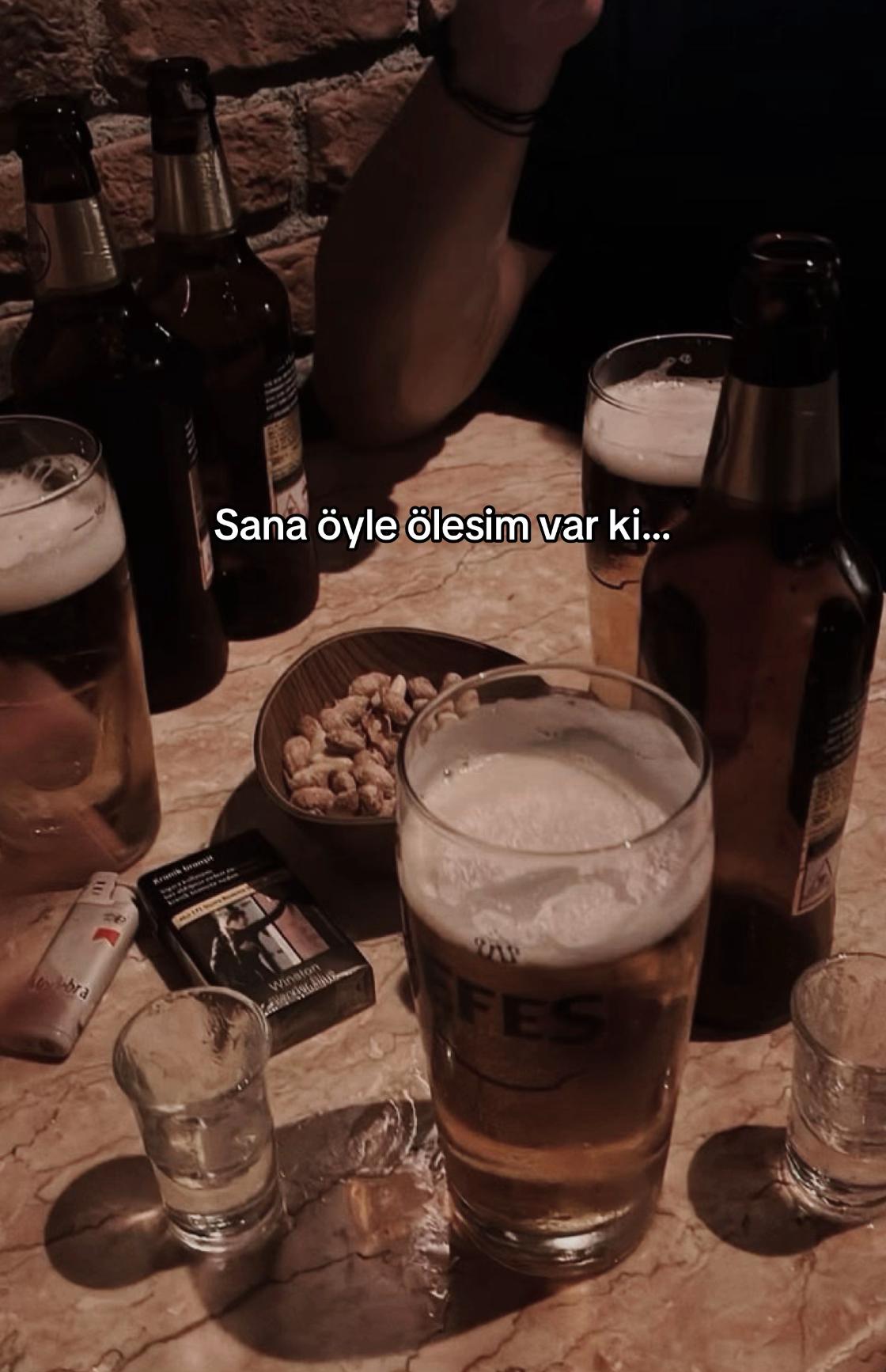 @seviyorgibiydin24