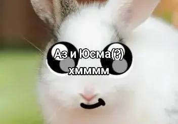 @чокопао 🍅