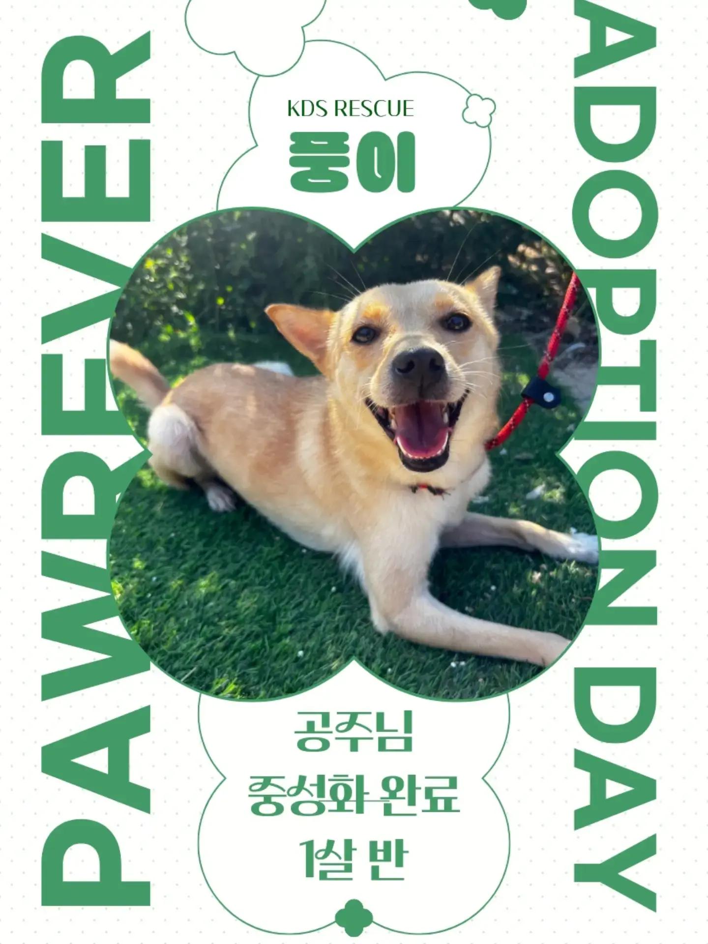 @🐶🐶엄지맘🐕&zwj;🦺🦮🐩