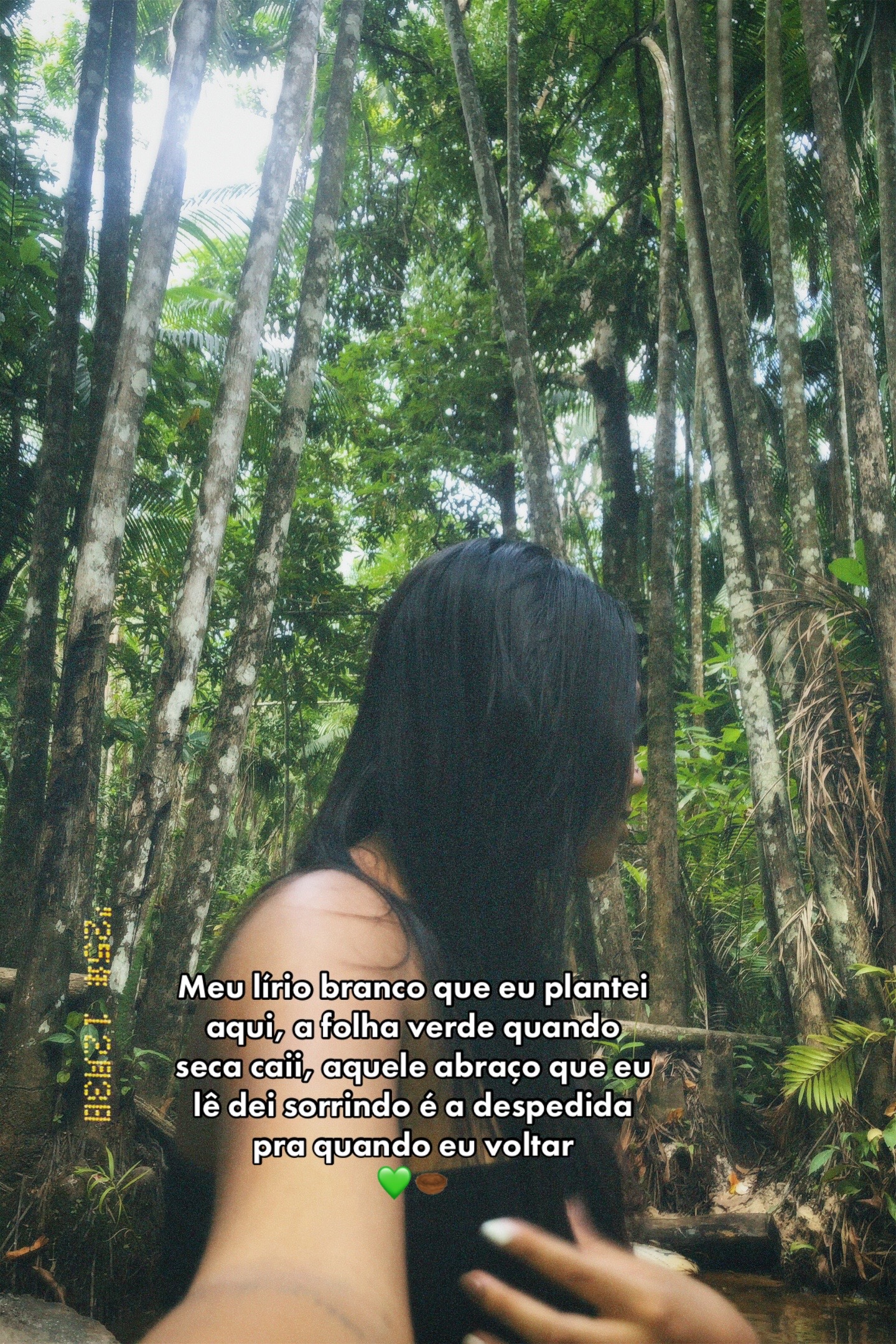@🍃