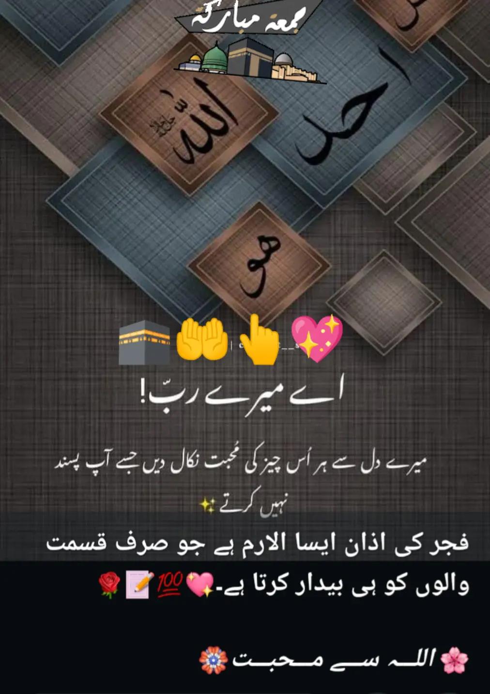 @Hassan Hussain💞