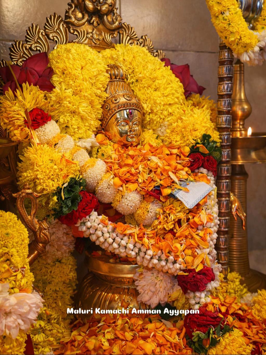 @Maluri Kamachi Amman Ayyapan