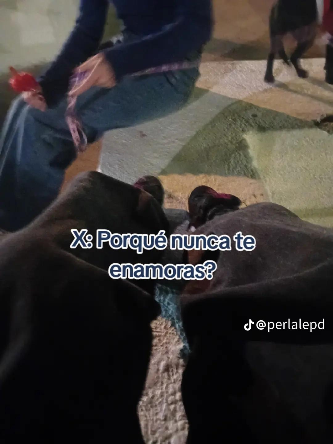 @Marii Diaz