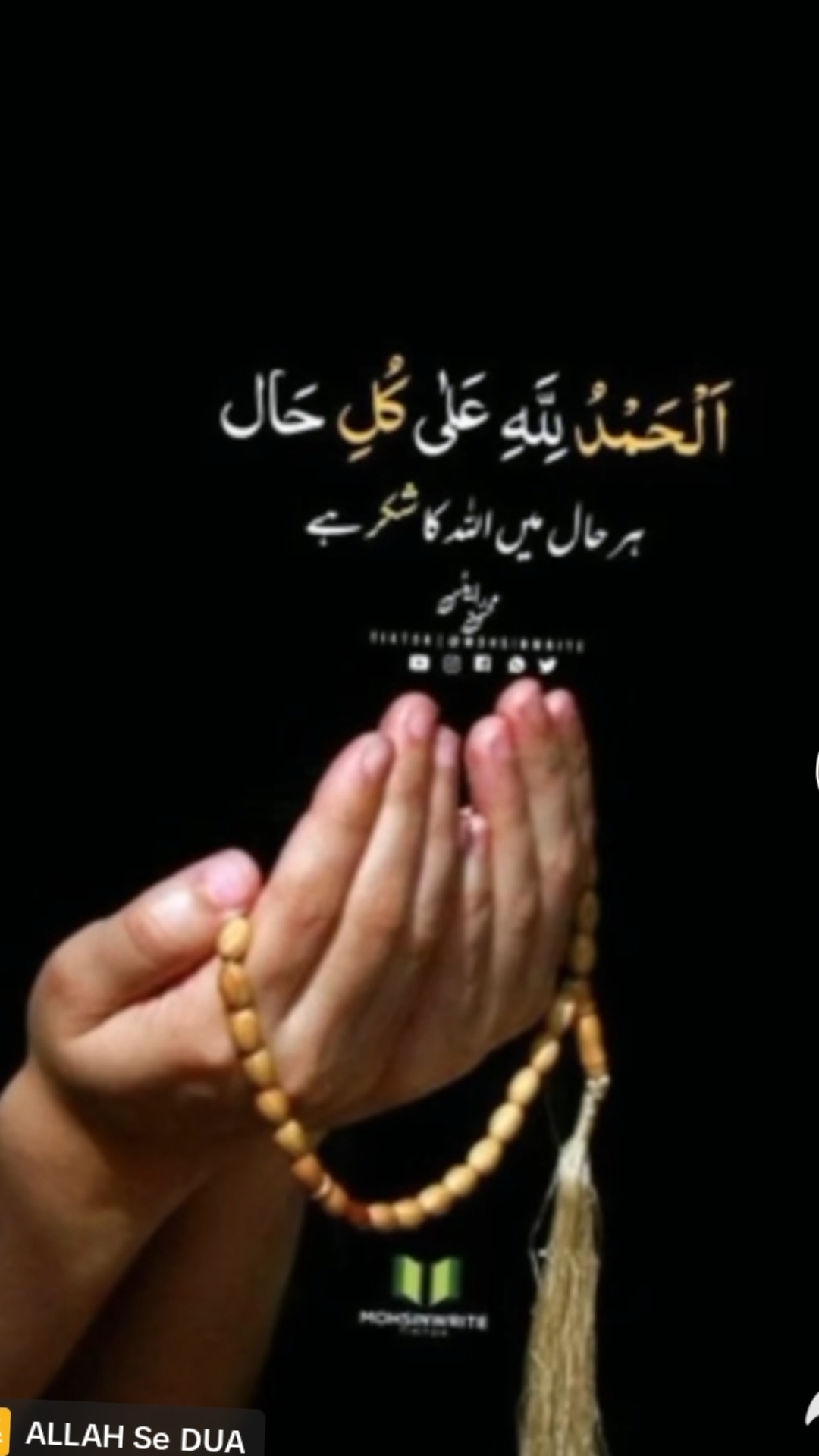 @AliRaja