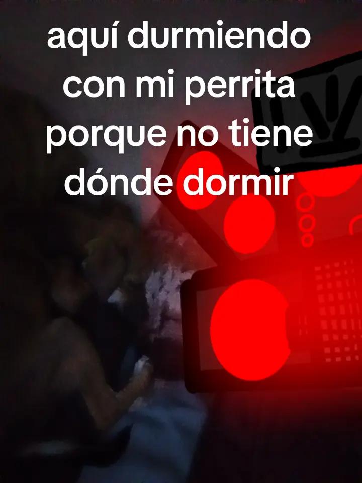 @¡¡¡¿¿Speaker'light??!!!
