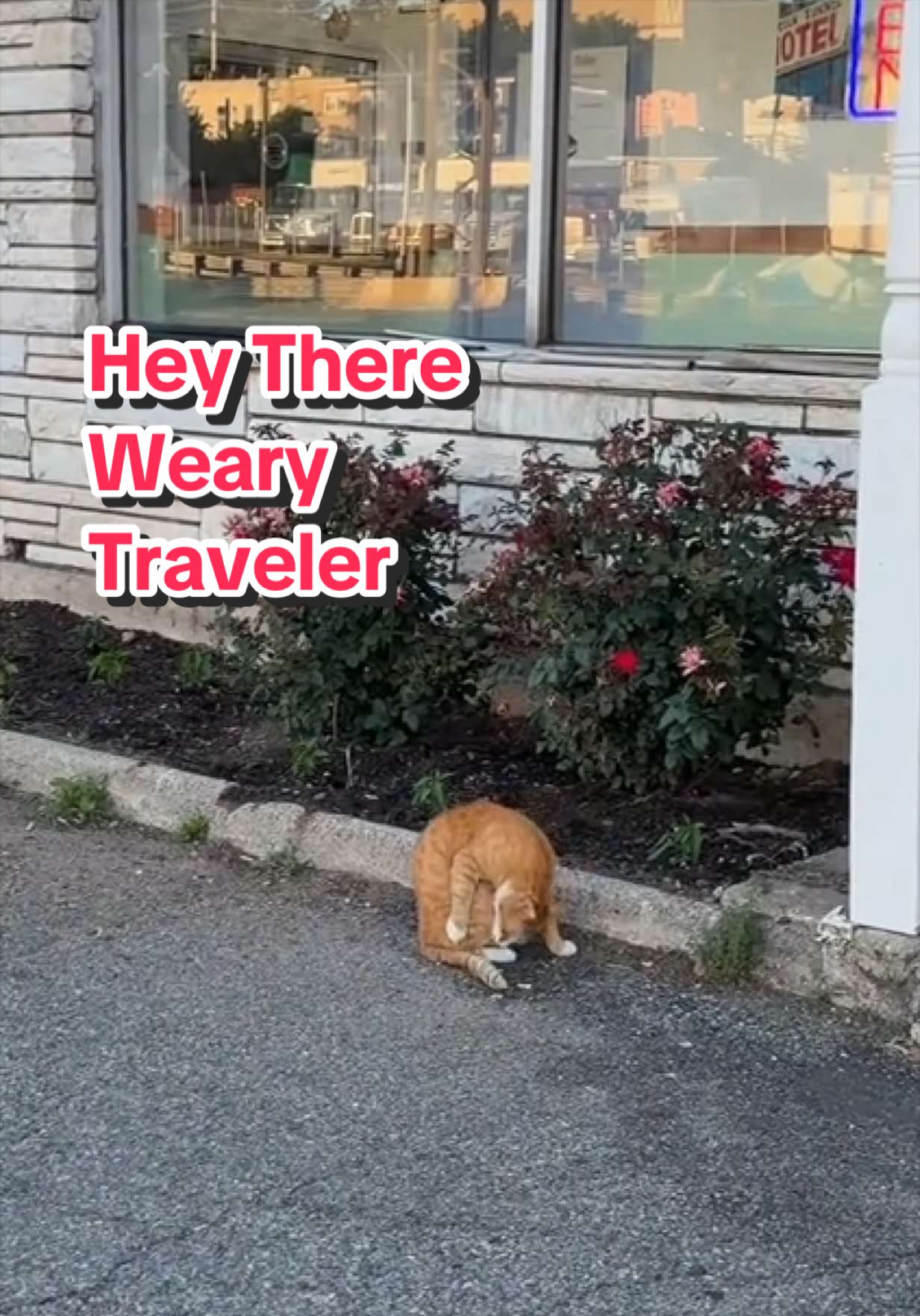 @Brian The Motel Guy