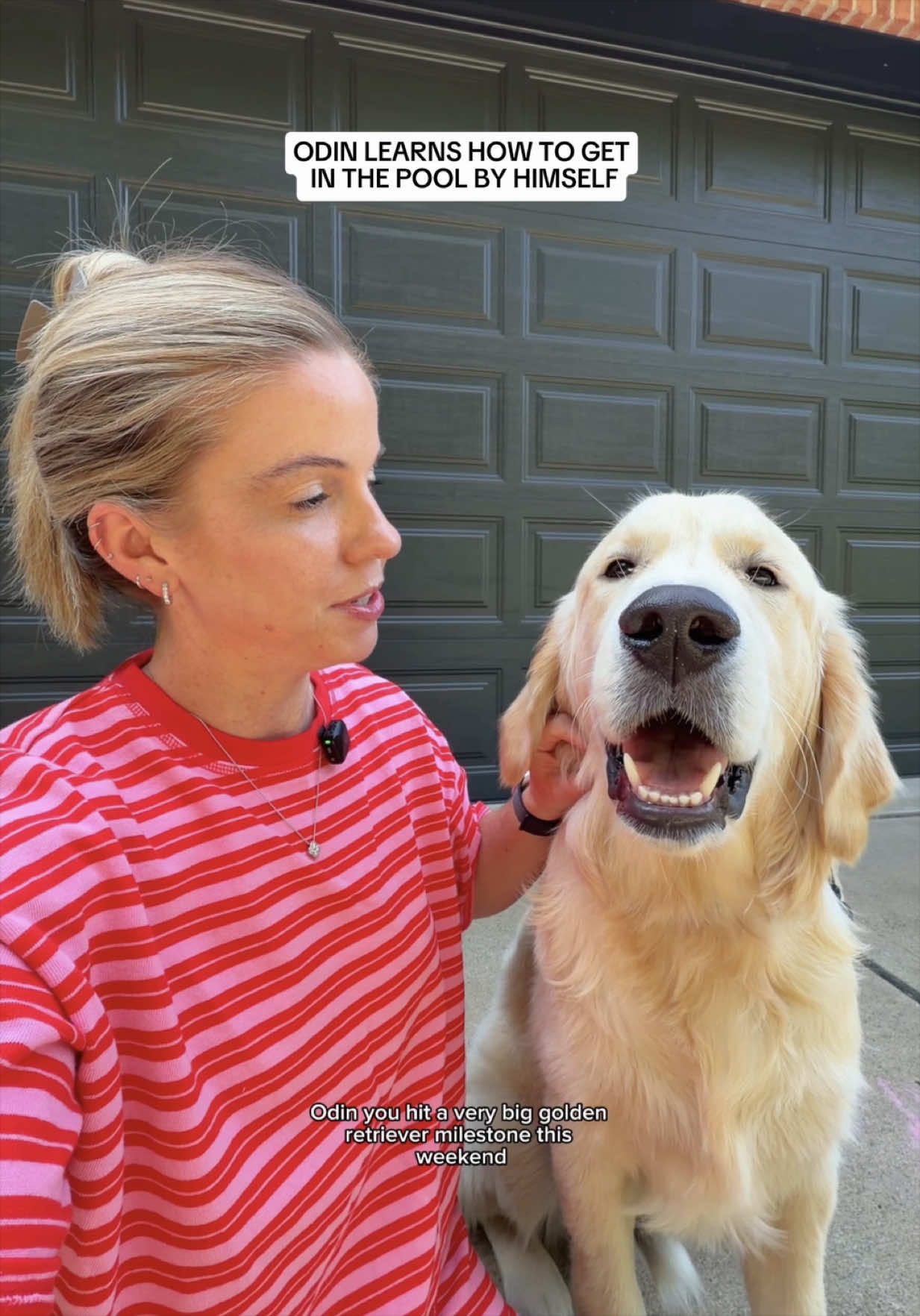 @agoldendogmom
