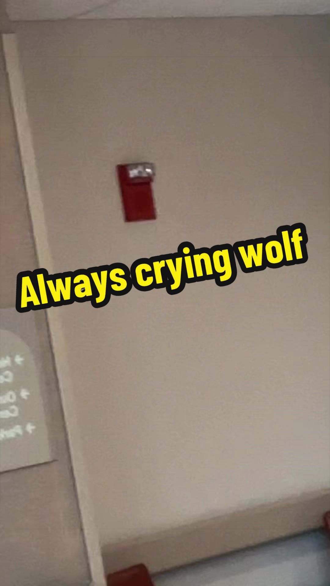 @Mr.Tnsktr