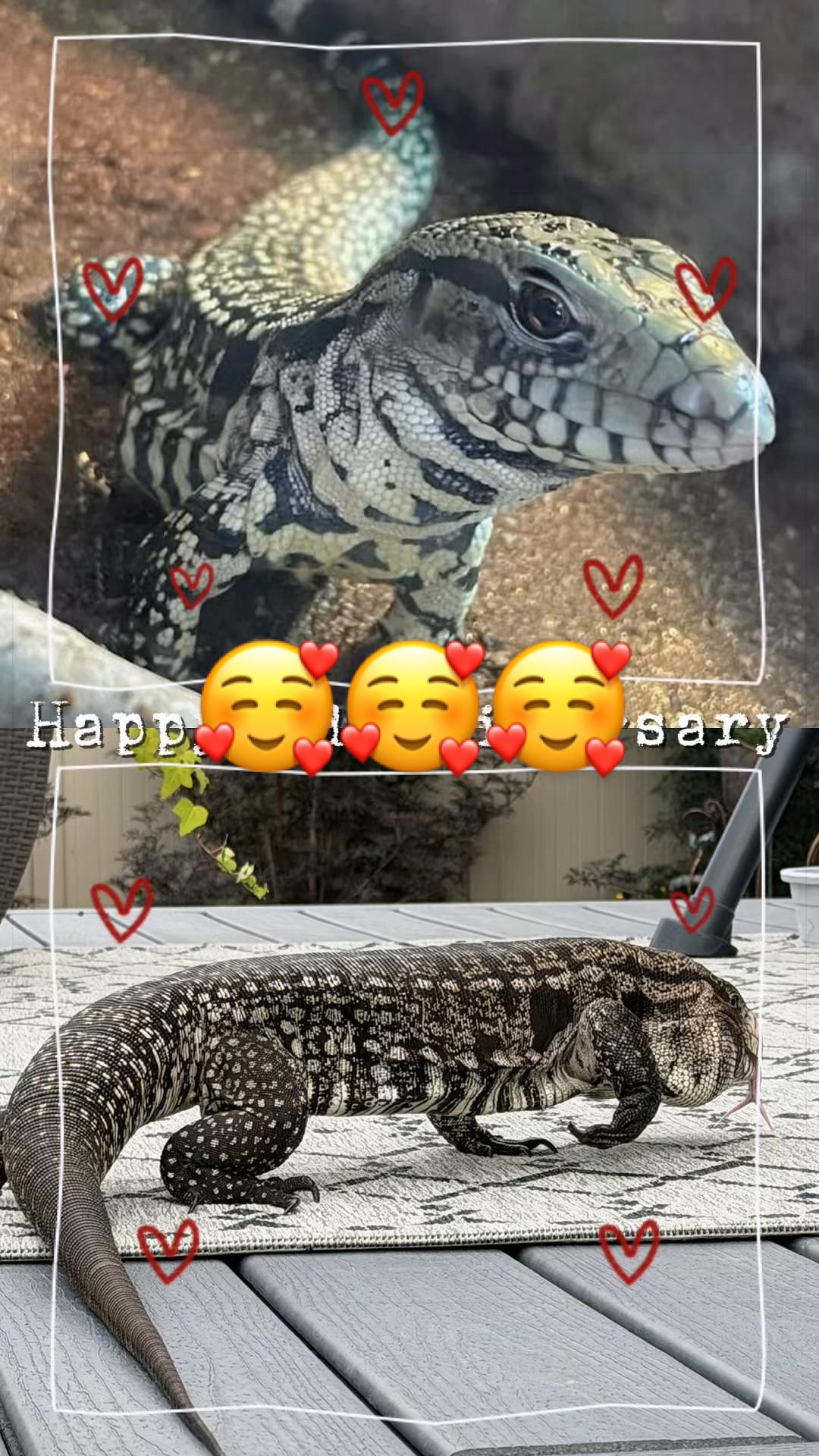 @indominusreps