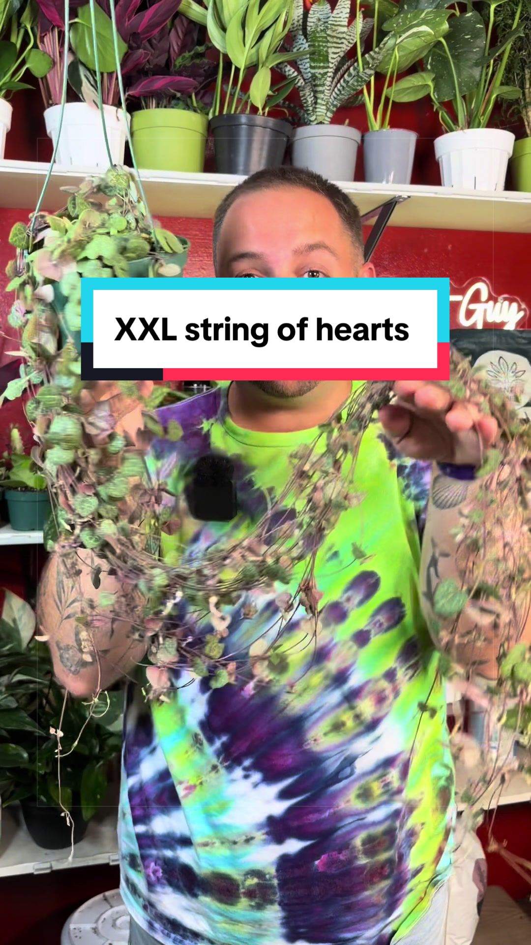@Brandon The Plant Guy
