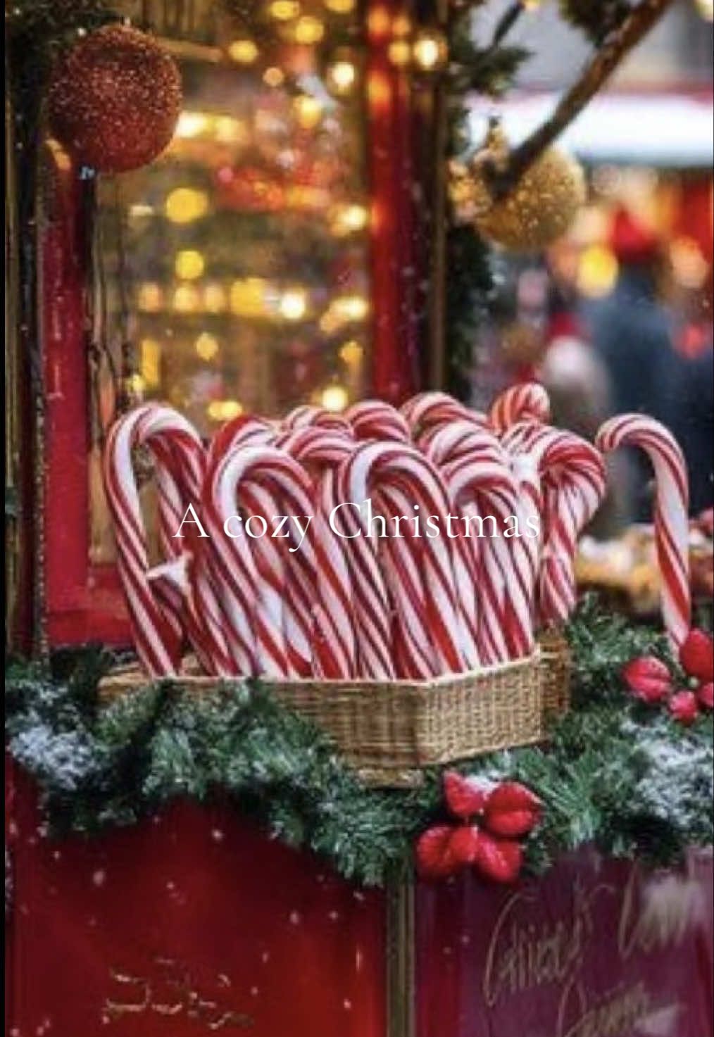 @Christmas & Cocoa