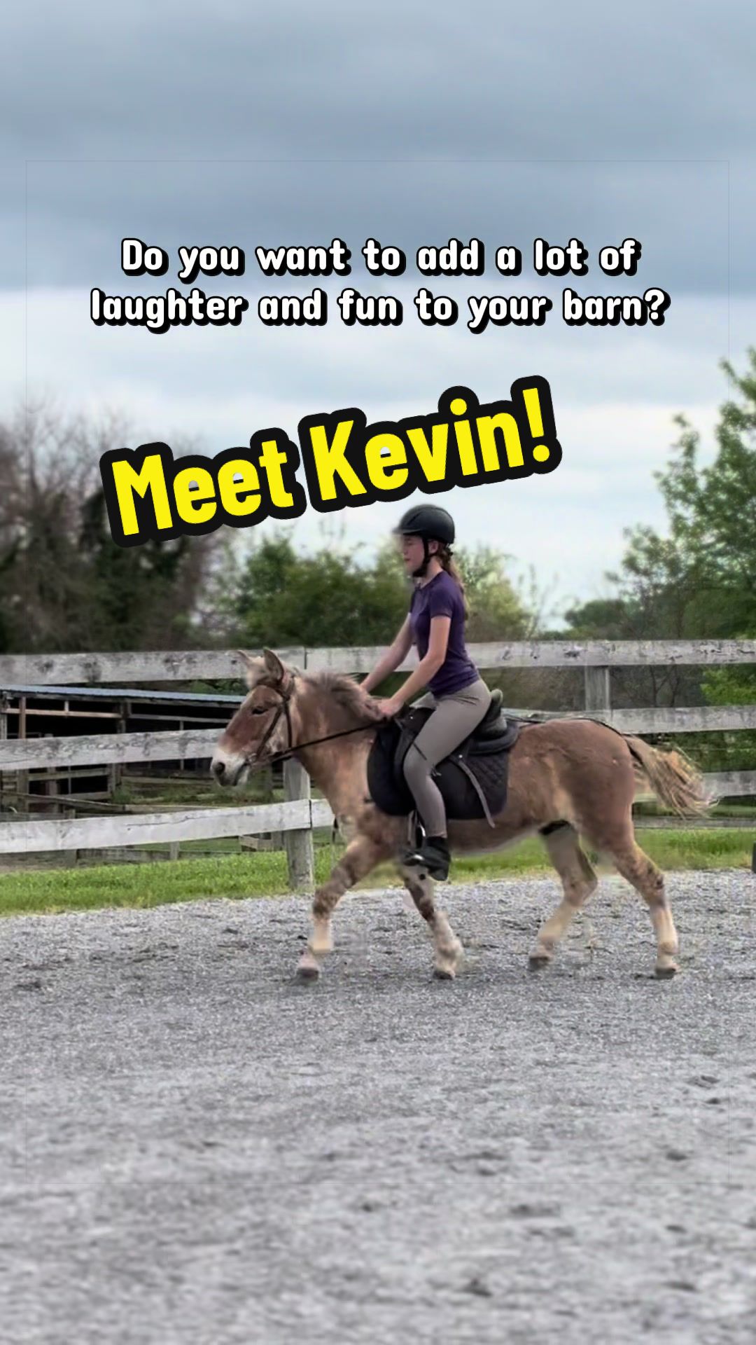 @Days End Farm Horse Rescue