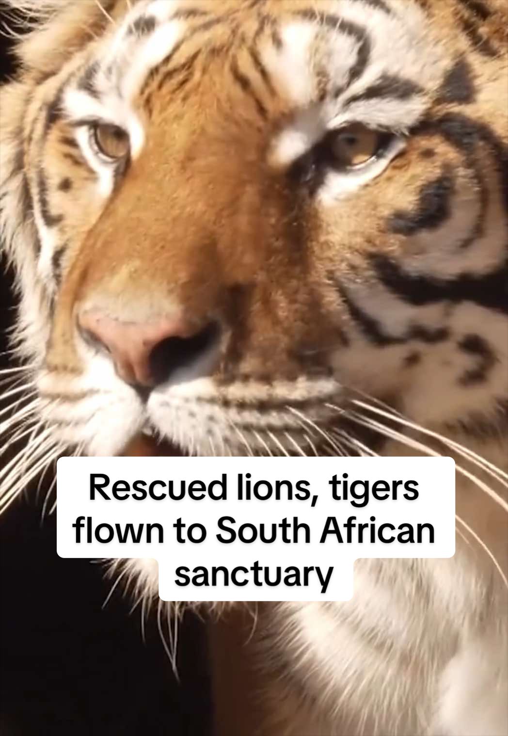 @Reuters