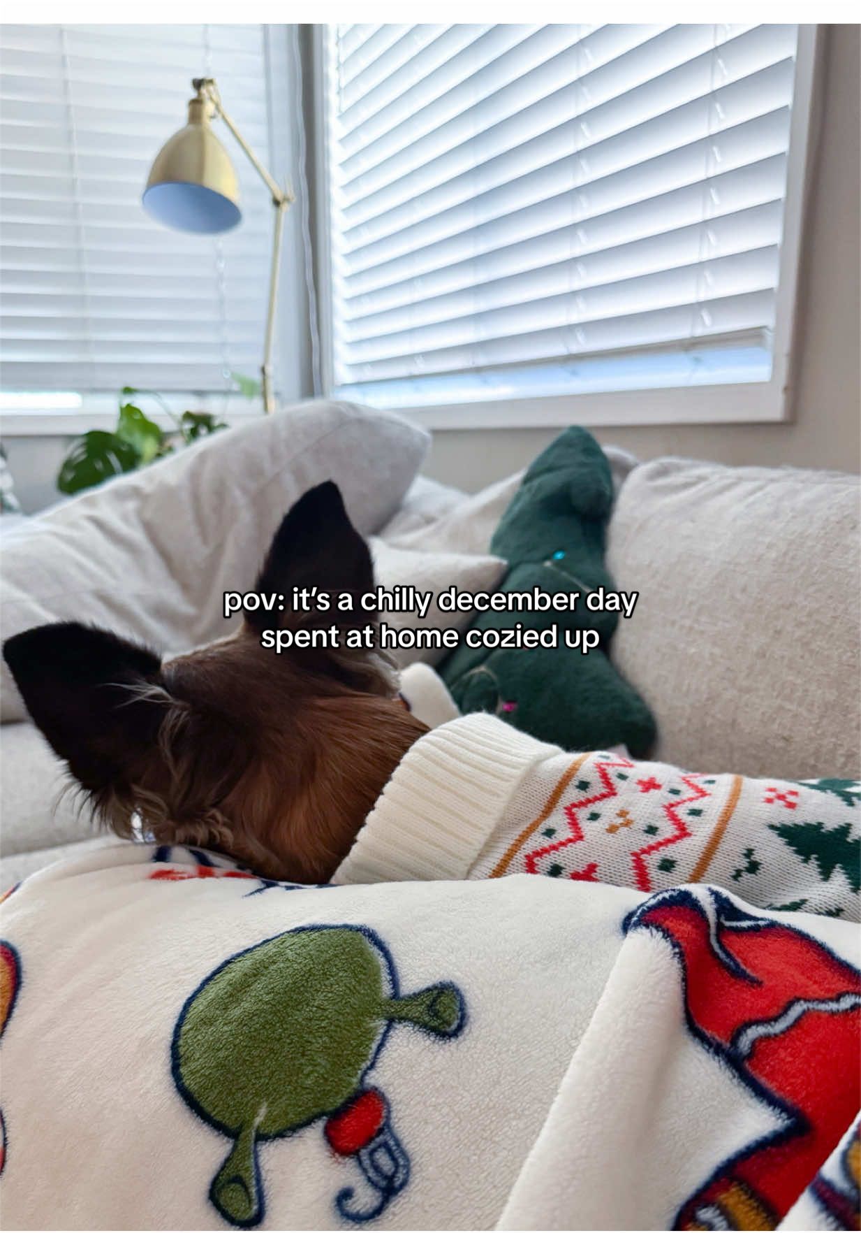 @Seasonal Kaitlyn